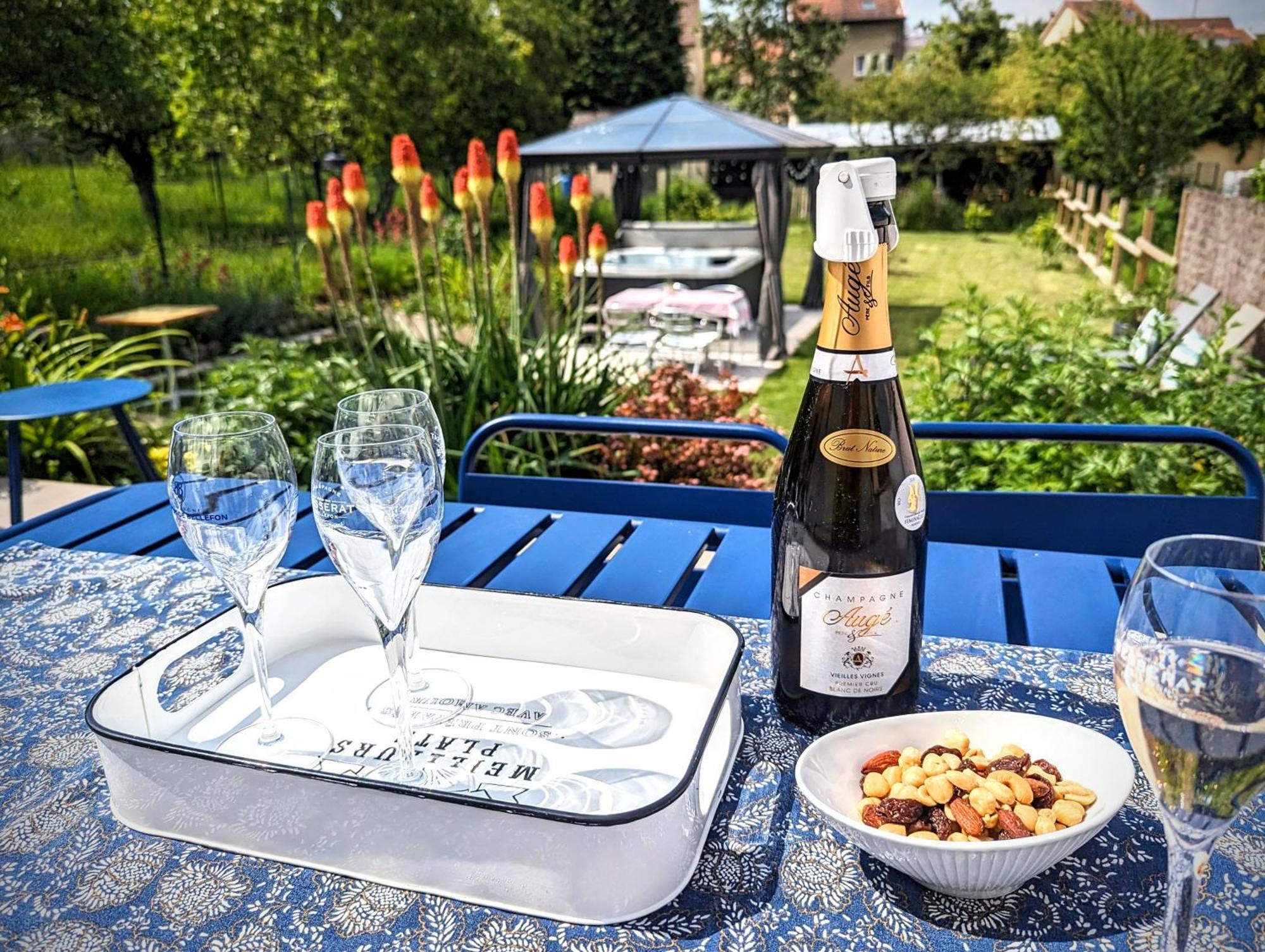 Le Cemarose: Spa, Jardin, Terrasse Et Jolie Vue Au Coeur D'Épernay Exteriör bild